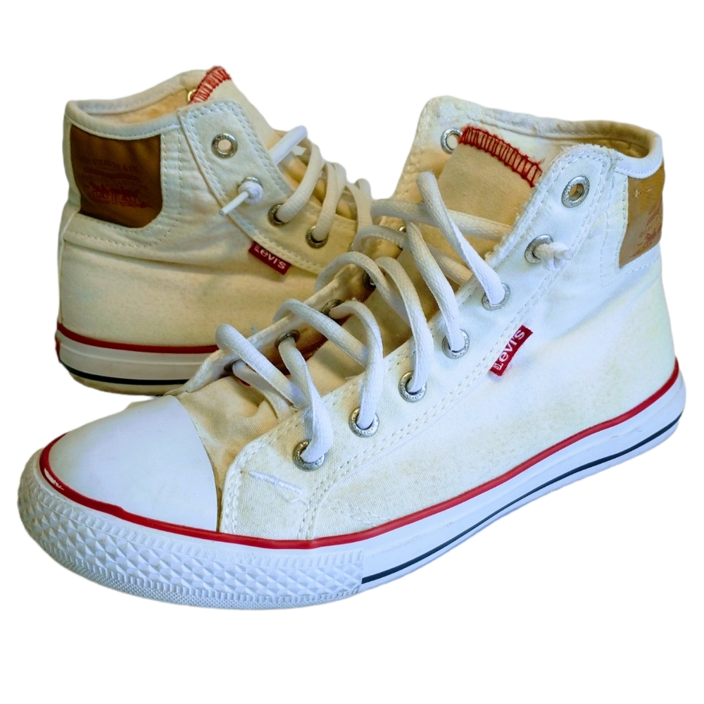 Levi's Mid-Cut Hamilton Buck Men's Shoes